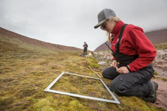 En kvinnelig forsker sitter på bakken og undersøker vegetasjon som er rammet inn av en firkantet ramme. En annen forsker skimtes i bakgrunnen. Foto: Lawrence Hislop / NP