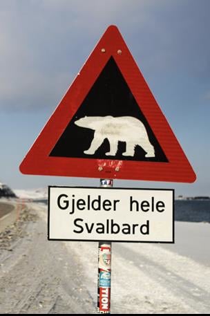 Varselskilt som varsler isbjørnfare på hele Svalbard. (Utsnitt) Foto: Eva Therese Jenssen / UNIS
