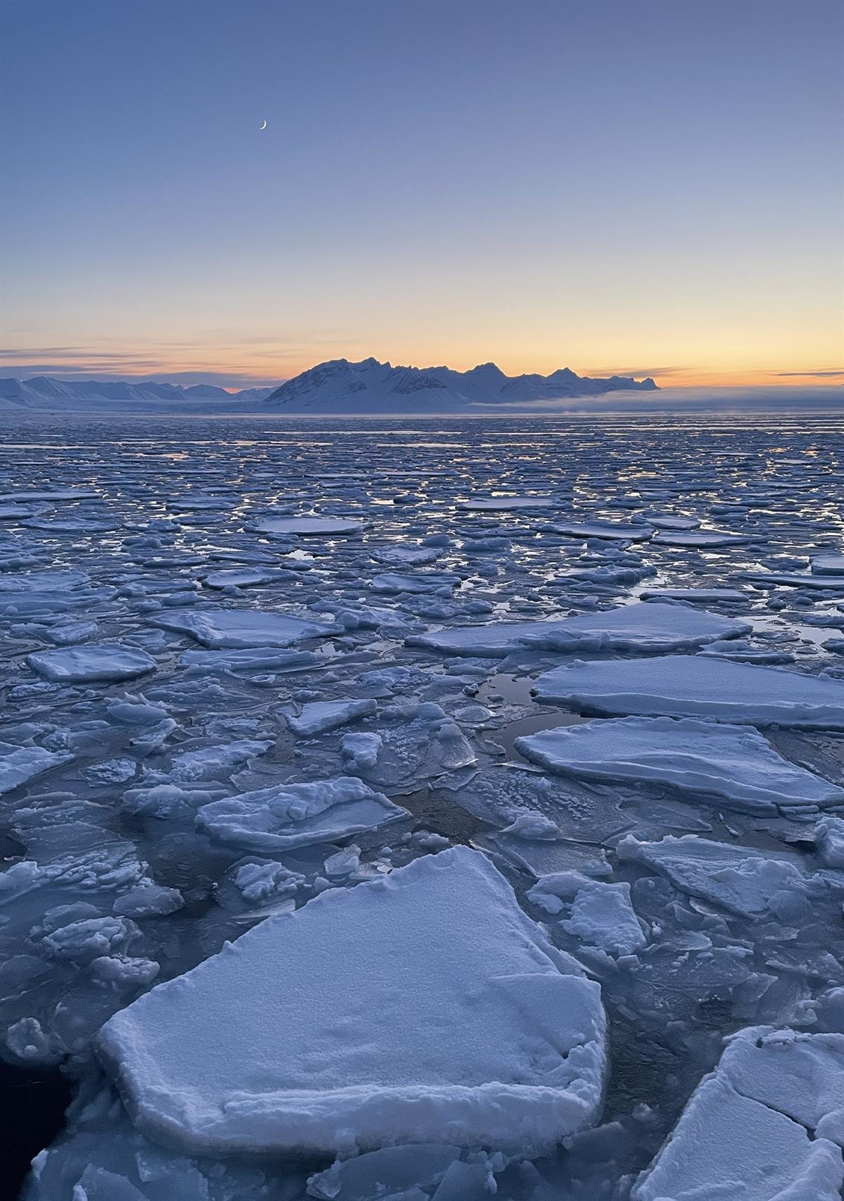 Drivende sjøis ved innseiling til Ekmanfjorden. Solnedgang over en fjord fylt med mange små isflak, med spisse fjell i bakgrunnen. Foto: Niels Fuchs / UNIS