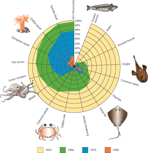 Figure 2.2 Biological diversity in the southeastern part of the North
 Sea. The figure shows the relative decline in the incidence of different
 species of fish and seabed organisms from 1950 (outer circle) up
 until 1980 (inner circle)