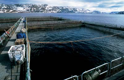 Figure 3.17 The photograph depicts a salmon farm in Jarbotnfjord in Finnmark.