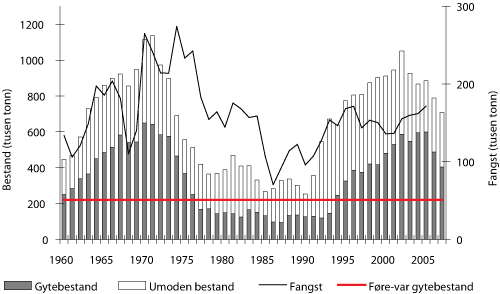 Figur 4.4 Utviklinga i bestand og fangst av sei nord for 62° N. Tala for 2006 og 2007 er prognosar.