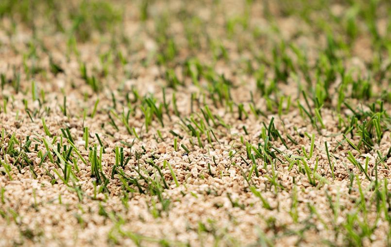 Nærbilde av gummigranulat på en  kunstgressbane