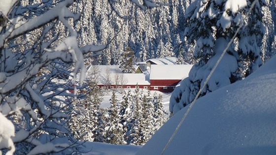 Telemark, gård i vinterdrakt.