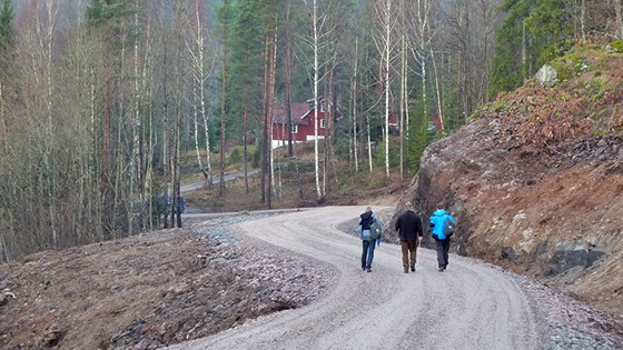 Telemark skogsbilveg.