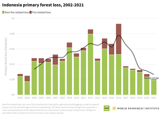 Tabell fra Global Forest Watch over skogtap i Indonesia i perioden 2002-2021