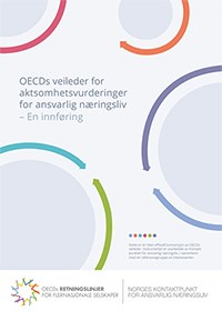 OECDs veileder