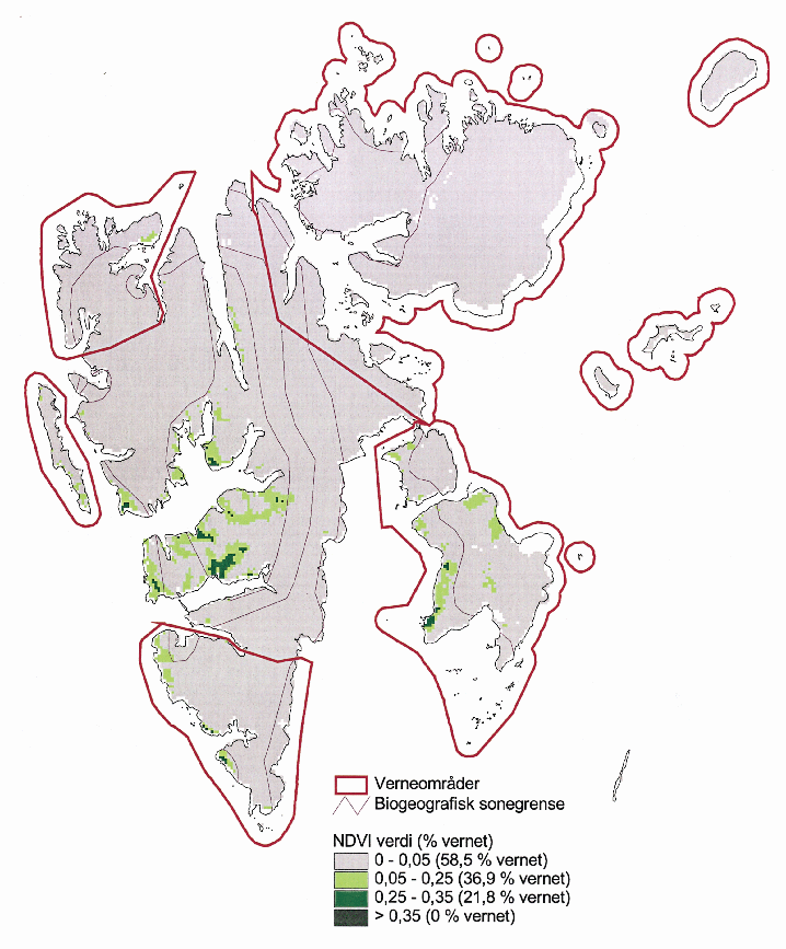 Figur 6.1 Kartet er laget på grunnlag av satelittdata og indikerer hvor det er
 sammenhengende vegetasjonsdekke. Det er imidlertid ikke noen entydig sammenheng
 mellom vegetasjonens biomasse på den ene siden og vegetasjonens artsrikdom
 og forekomster av så...