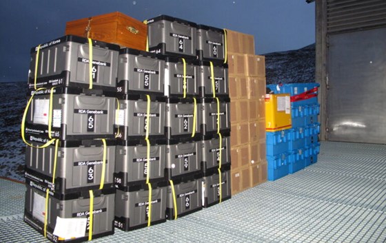 Åtte genbanker sendte denne uka (siste uka i oktober 2020) 45 bokser med nesten 15000 frøposer til Svalbard Globale frøhvelv