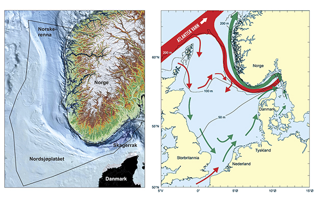 Figur 3.1 a) Forvaltningsplanområdet med bunntopografi. b) De viktigste trekkene ved sirkulasjonsmønstre og dybdeforhold i Nordsjøen og Skagerrak. Røde piler: atlantisk vann. Grønne piler: kystvann.
