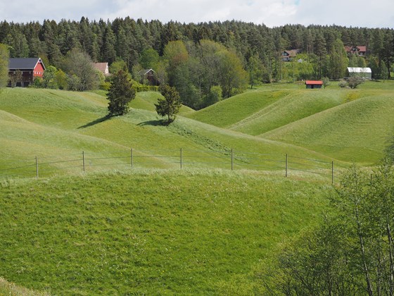 Raviner - Lunde Trømborg, Eidsberg