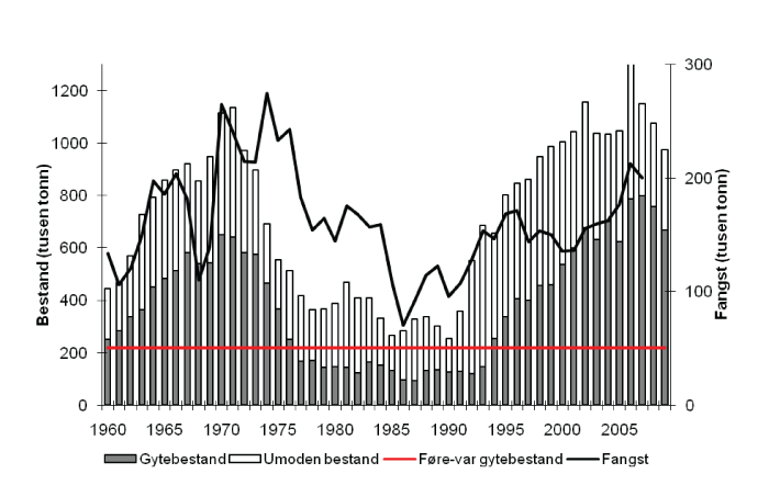 Figur 4.5 Utviklinga i bestand og fangst av sei nord for 62°N. Tala for 2008 og 2009 er prognosar