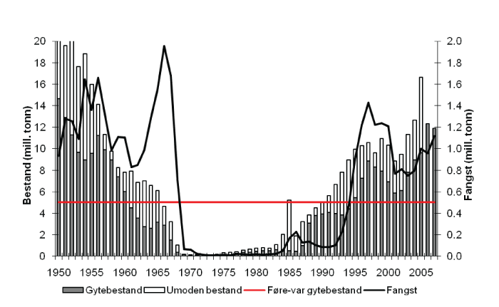 Figur 4.7 Utviklinga av bestand og fangst av NVG-sild. Førebels fangst for 2007