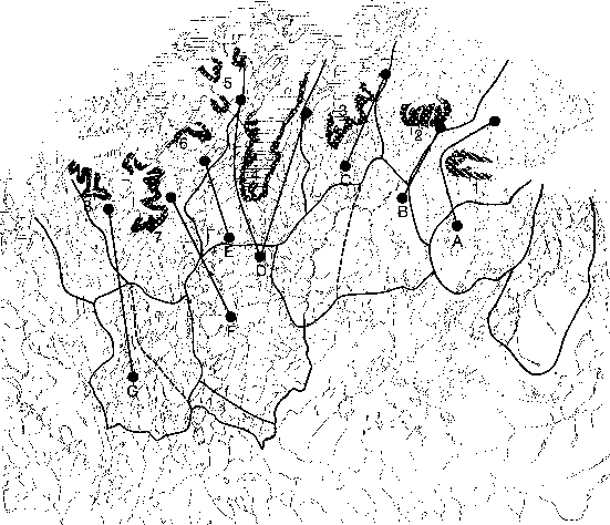 Figur 2-5.4 Reindriftas bosetning og flyttinger ca. år 1700.
