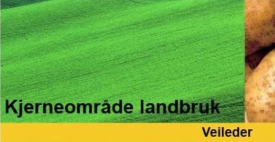 Utsnitt fra omslaget av veilederen