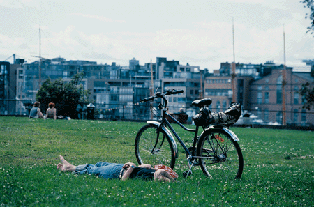 Figure 3.1 Centrally located parks and green structures are important recreational areas.