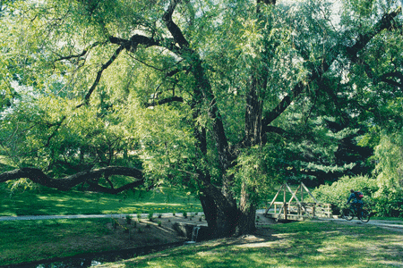 Figure 3.11 Green areas with thoroughfares for walking and biking are of great importance for leisure activities and physical activity, and contribute significantly to quality of life in cities.