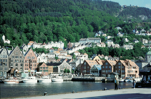 Figure 4.9 The main city inlet, Vågen, in Bergen shows the importance of blue (water) and green structures for urban form and identity.