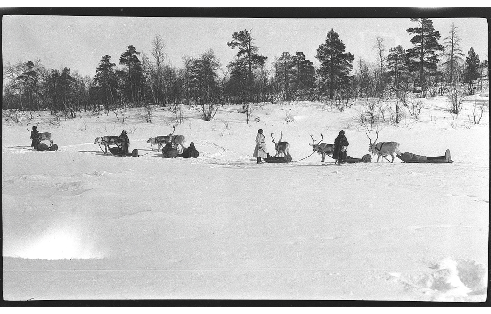 Figur 2.1 
Reinraid fra 1910–1920 tallet.