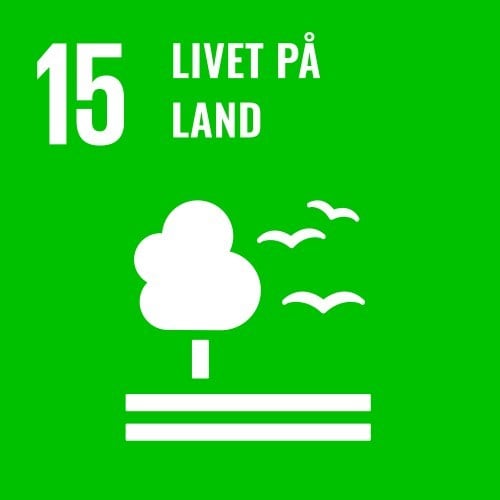 Illustrasjon for bærekraftsmål 15: Livet på land