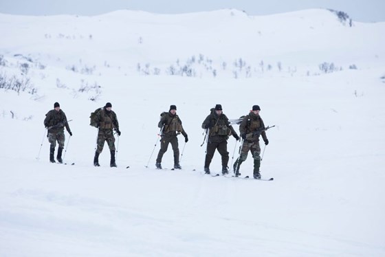 Nederlandske marineinfanterister går på ski på snaufjellet utenfor Harstad  (2018). 