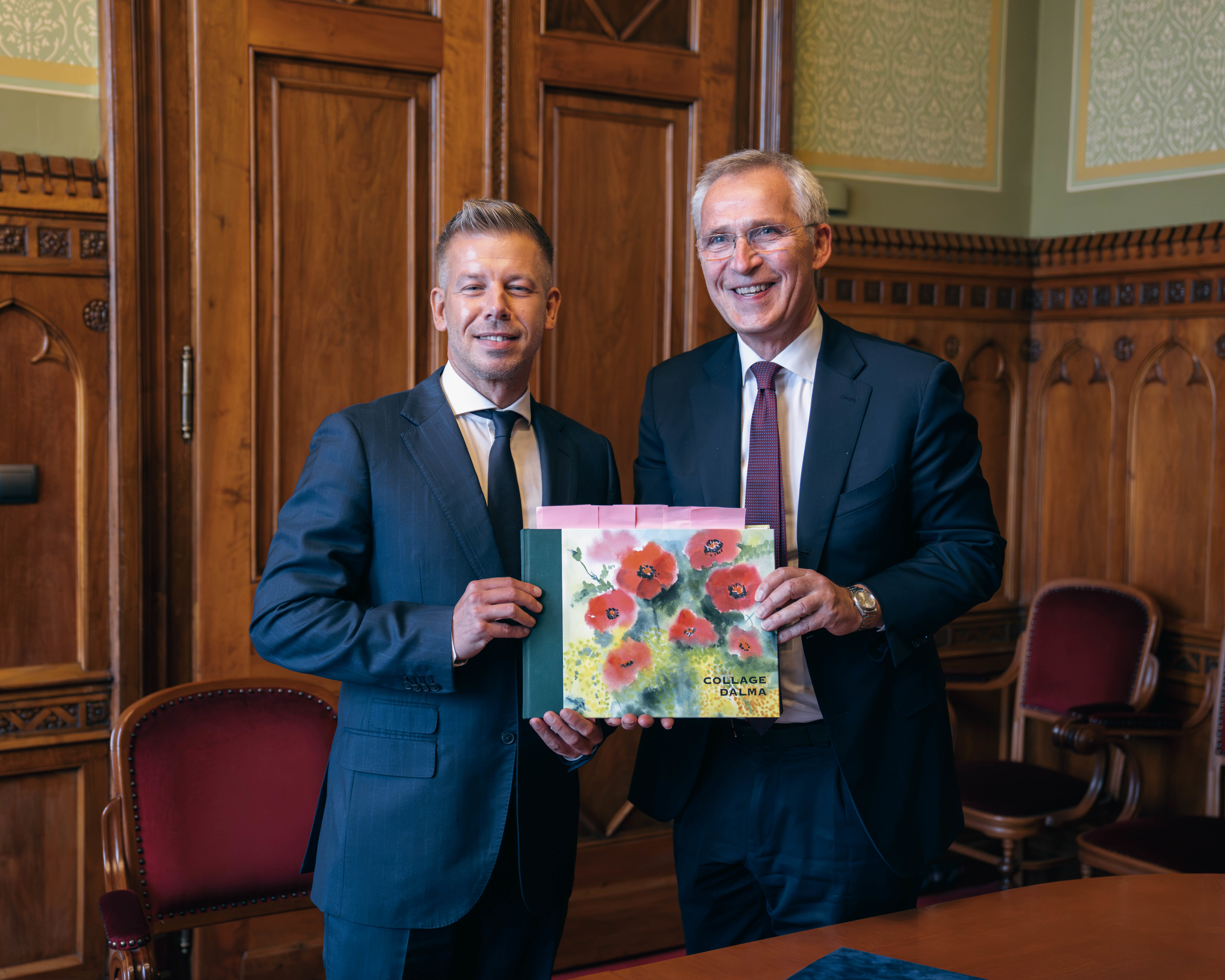 Finansminister Jens Stoltenberg og Ungarns statsminister Péter Magyar.
