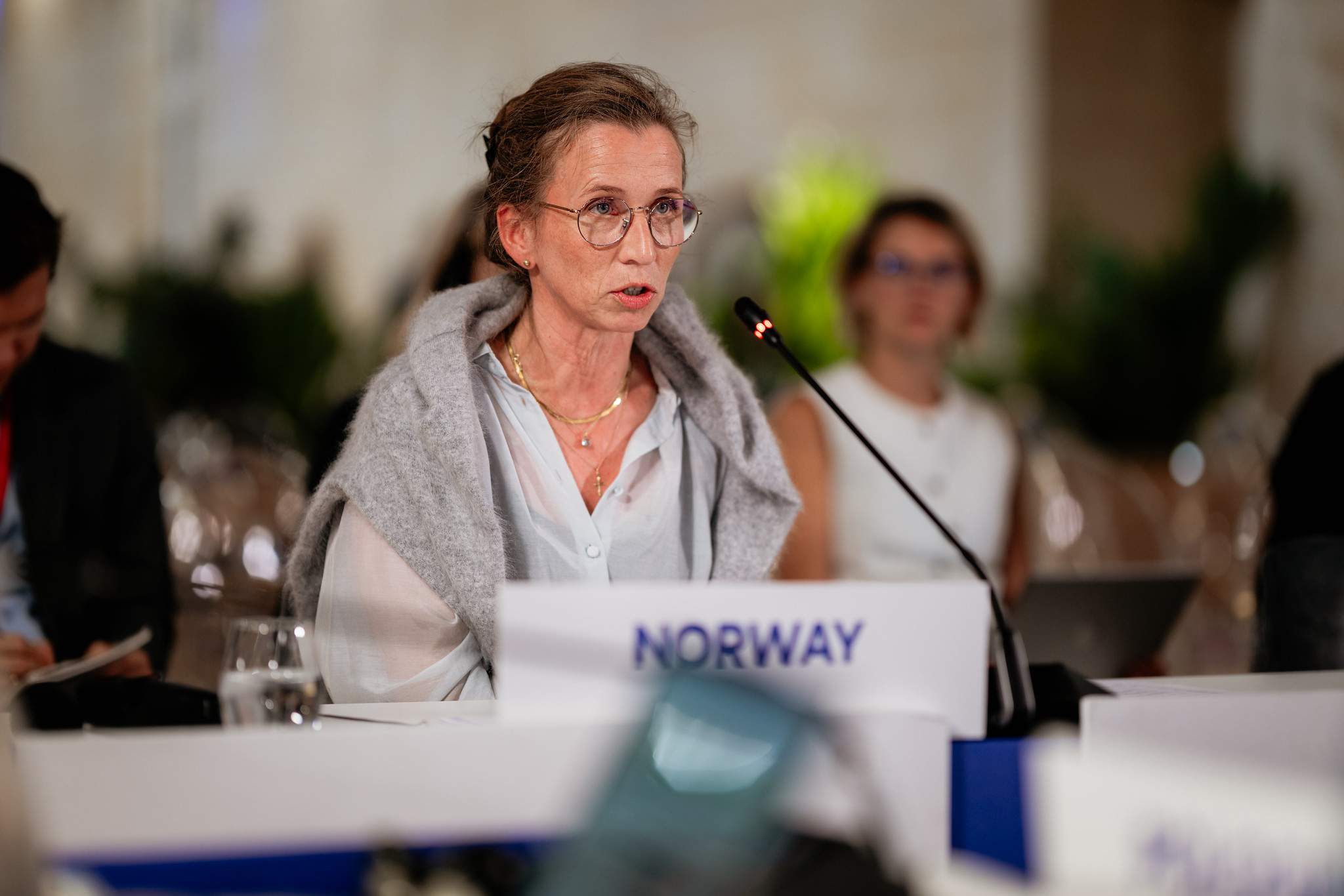 Justisministeren snakker under justisministermøtet