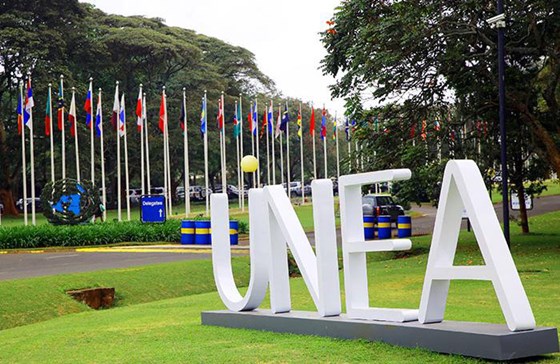 FNs miljøforsamling (UNEA)