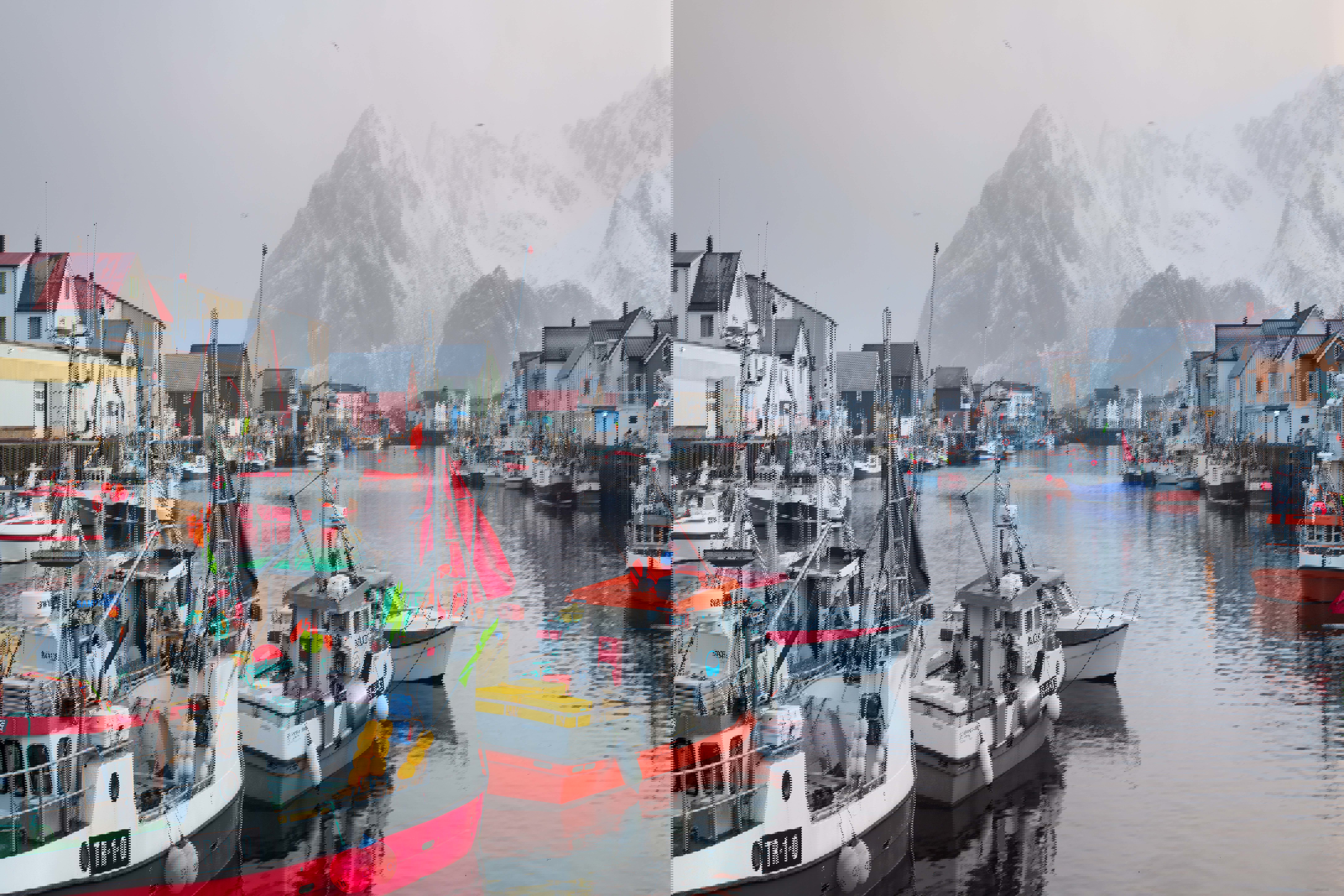 Fiskebåter i Henningsvær.