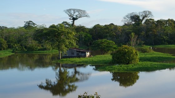 Hus ved en urfolkslandsby i Leticia i Colombia.