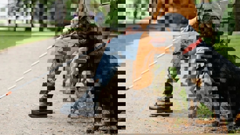 Illustrasjonsbilde med en førerhund. Eieren sitter på en benk i en park, hun har en hvit stokk i hånden. Førerhunden sitter ved siden av benken.