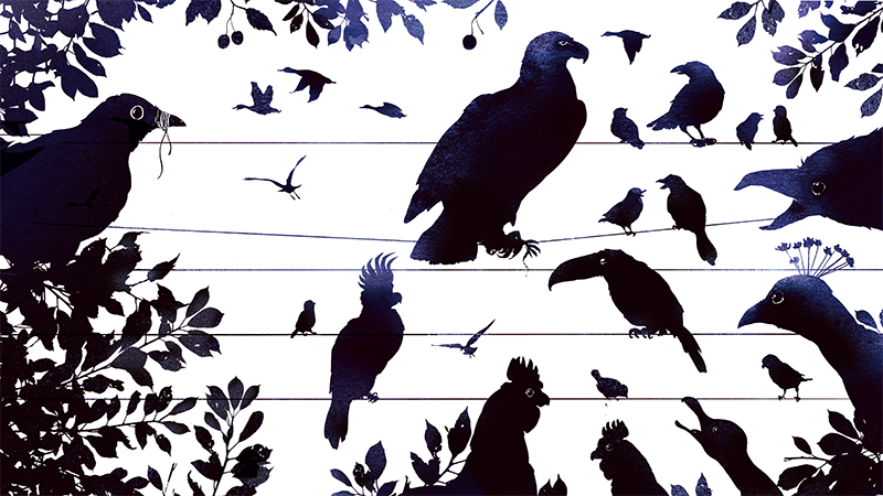 Forsideillustrasjonen til strategien "Ytringsberedskap". Illustrasjonen viser sorte siluetter av alle slags fugler som påfugl, papegøye, høne og småfugler.