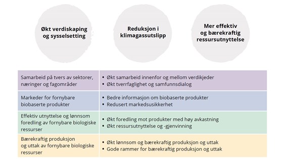 Bioøkonomi i Norge.