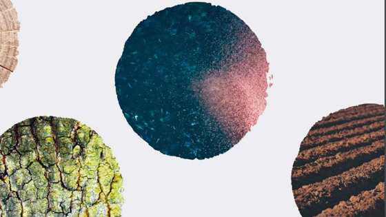 Familiar resources – undreamt of possibilities - The Government’s Bioeconomy Strategy. 