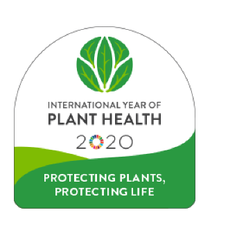FNs mat- Internasjonalt plantehelseår 2020. og landbruksorganisasjon