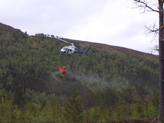 Gjødsling av skog med helikopter.