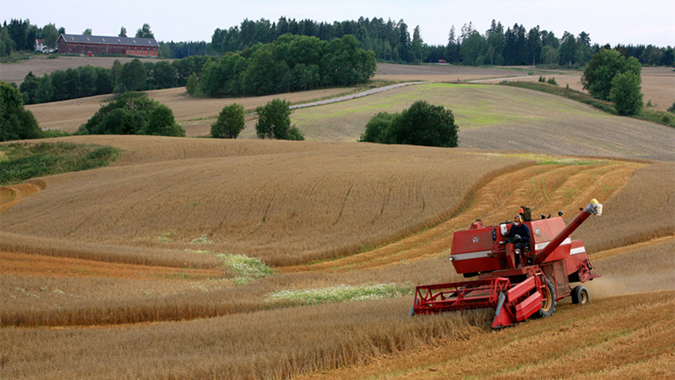 Kornåker m/treske Follo Akershus 