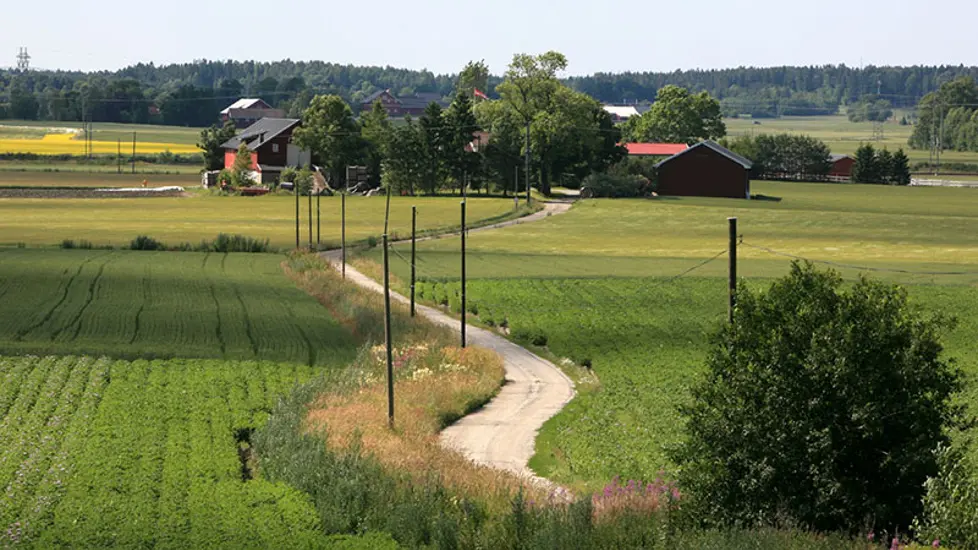 Gårdsvei. Vold i Råde, Østfold.