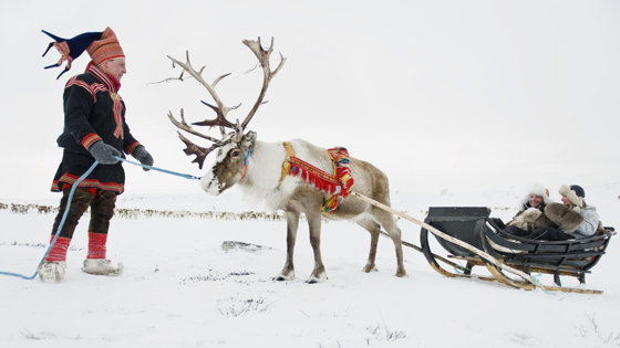 Husmanss Fylkesmannen I Troms Og Finnmark Reindrift