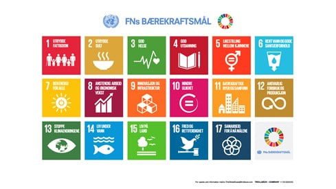 Alle FNs bærekraftmål.
