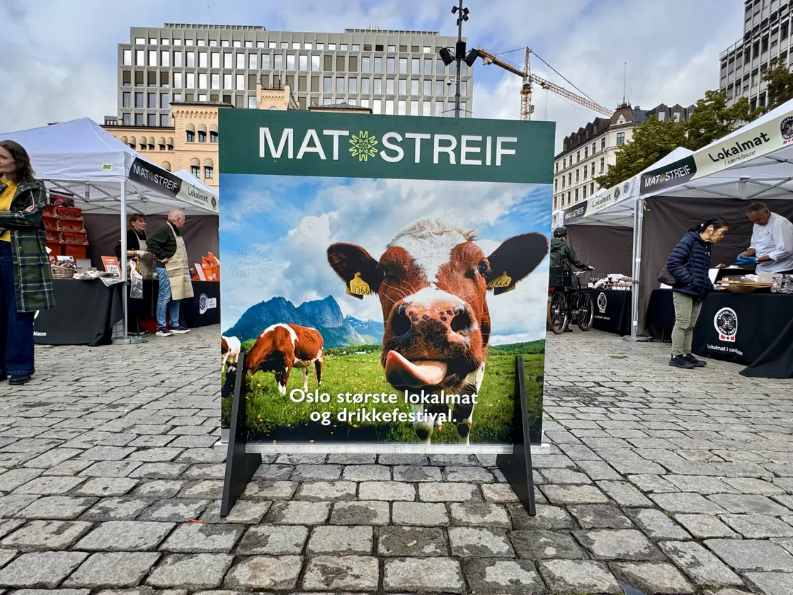 matstreif2026