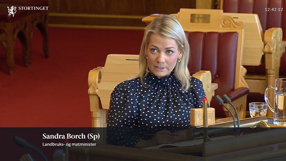 Landbruks- og matminister Sandra Borch på Stortinget.