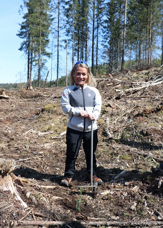 Sandra Borch planter skog.