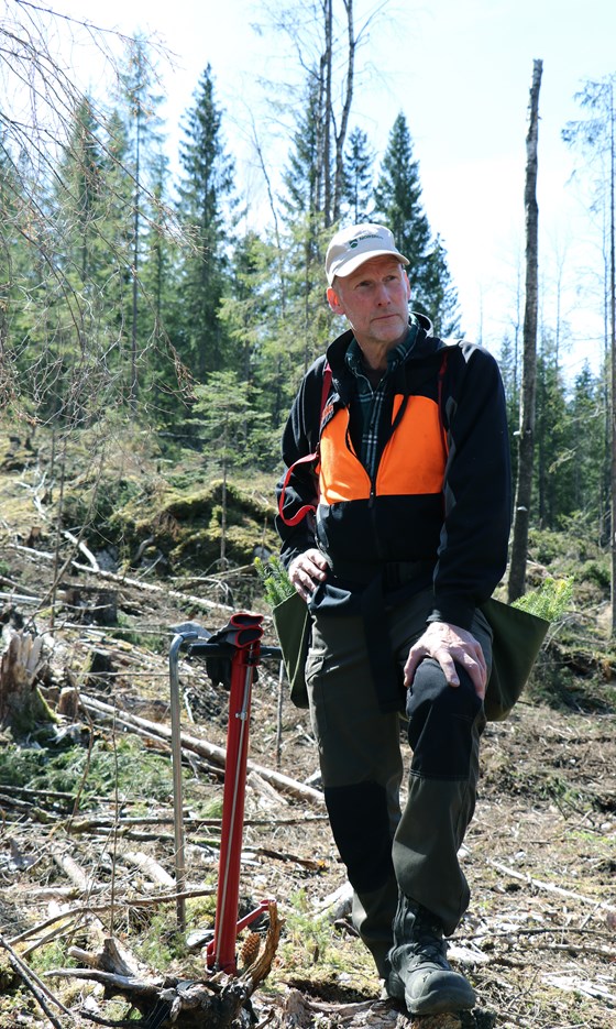 Kjell Erik Hansen står for planting av trær under besøket i skogplantefeltet på Losby Bruk.