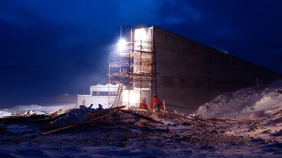 The Norwegian public construction agency,