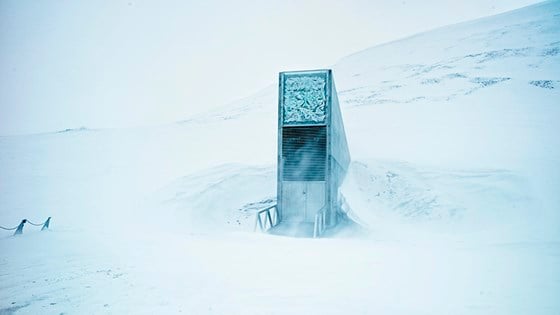 The Svalbard Global Seed Vault is blasted into the rock base of Platåfjellet