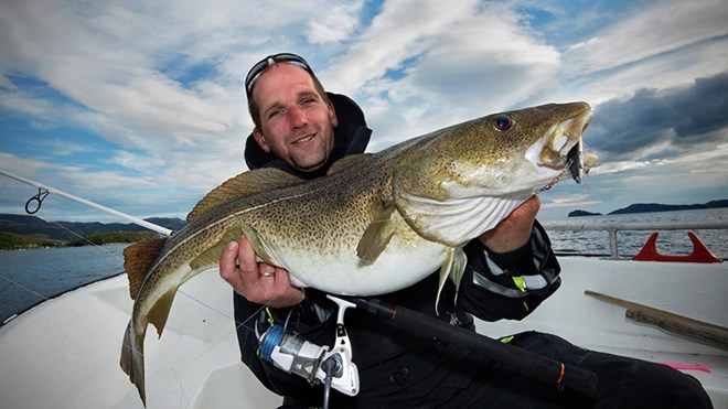 Ein mann held opp ein torsk han har fiska i Finnmark