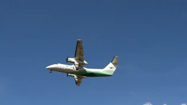 Et fly mot en blå himmel