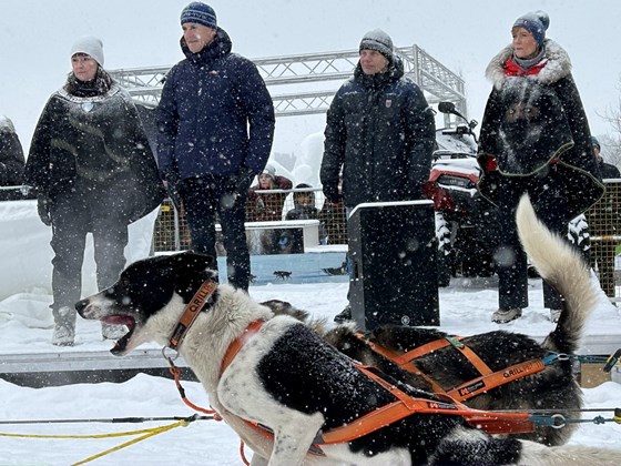 Fra Finnmarksløpet, ordføreren i Alta og statsministeren ser på hunder som løper forbi scenen ved start.
