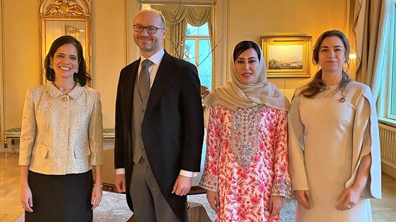 Four new ambassadors at the royal castle. Credit: Tonje Røed, MFA